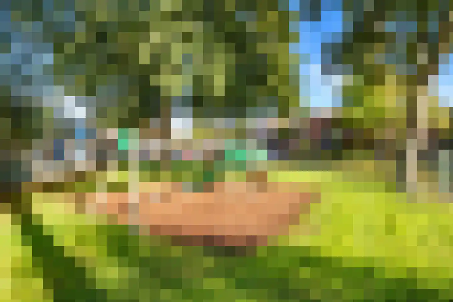 Graaf Arnoldlaan 9 Nieuwegein thumbnail 30