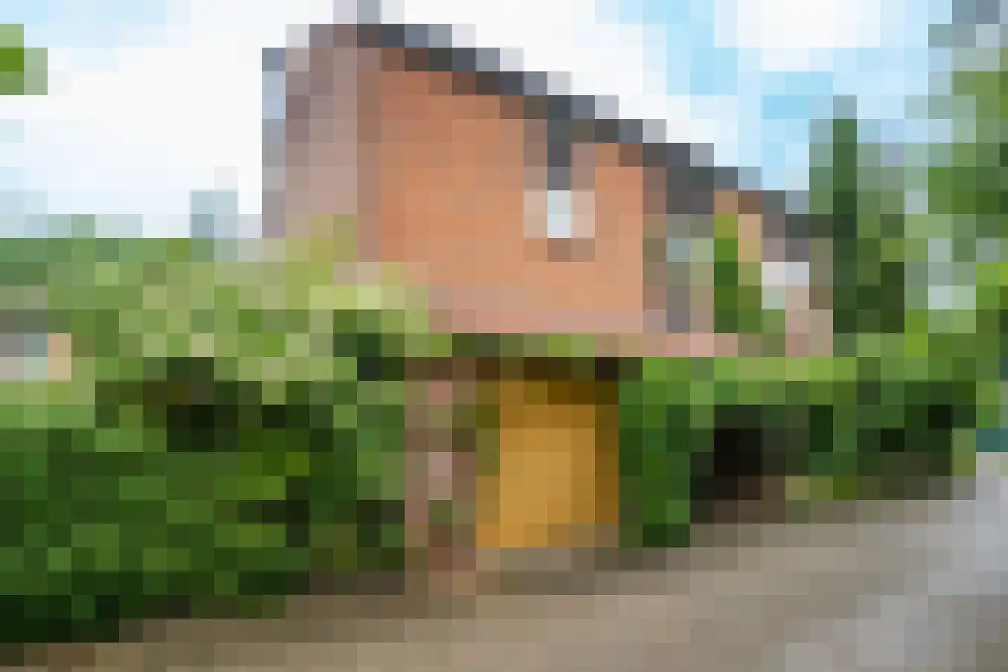 Graaf Arnoldlaan 9 Nieuwegein thumbnail 34