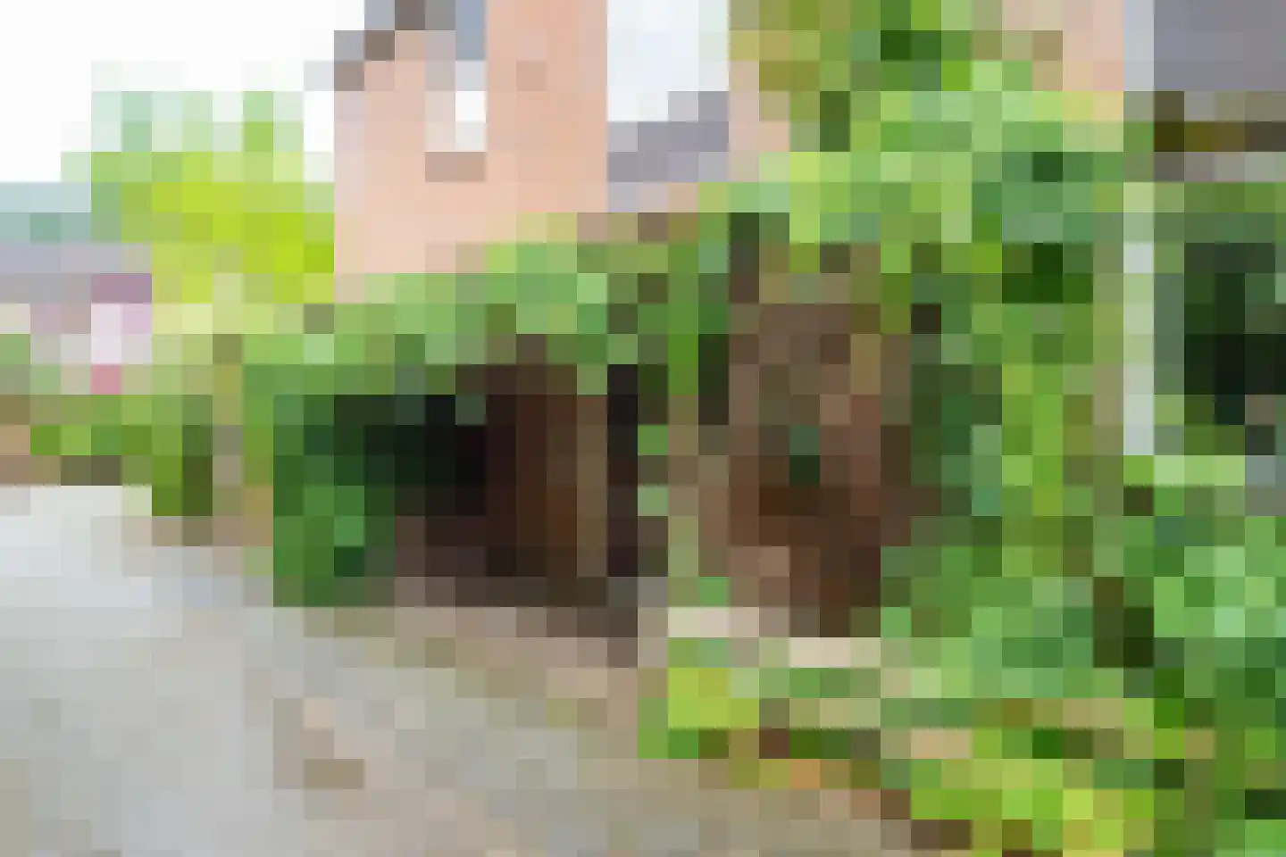Graaf Arnoldlaan 9 Nieuwegein thumbnail 35