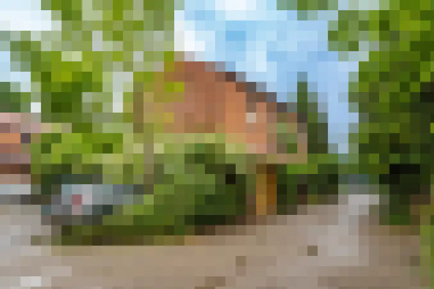 Graaf Arnoldlaan 9 Nieuwegein thumbnail 36