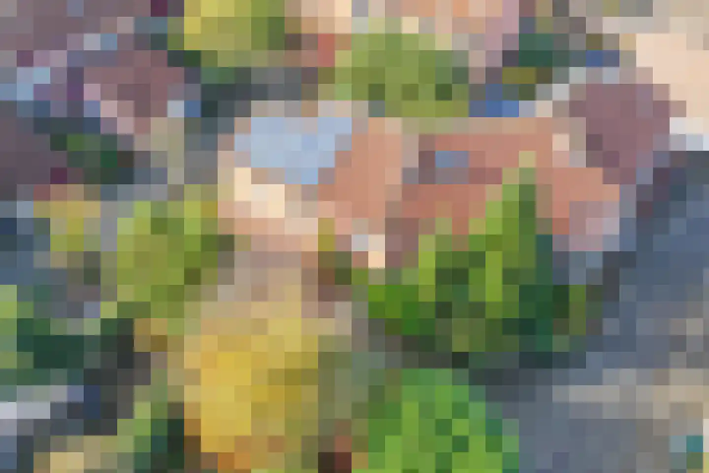 Graaf Arnoldlaan 9 Nieuwegein thumbnail 40