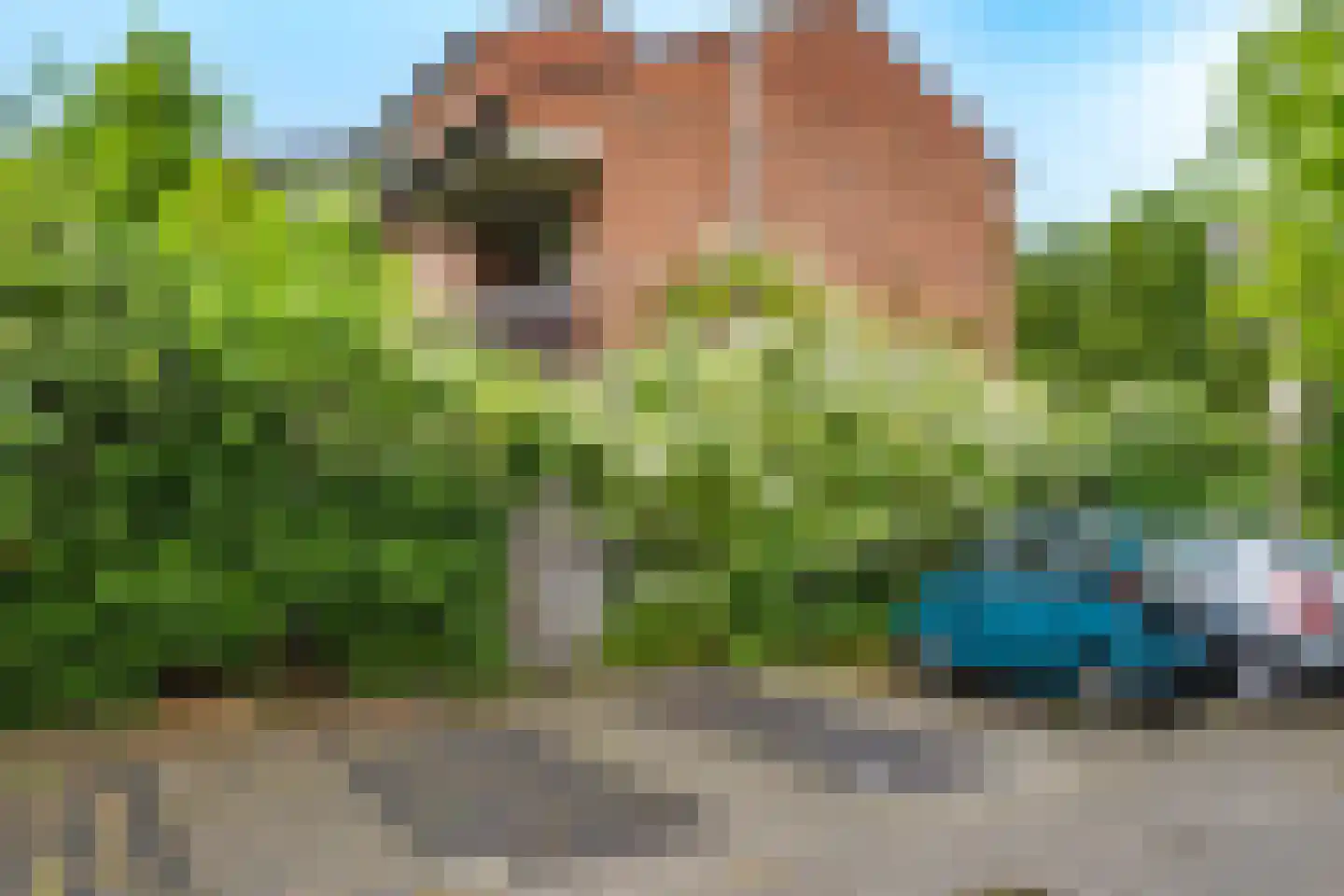 Graaf Arnoldlaan 9 Nieuwegein thumbnail 41