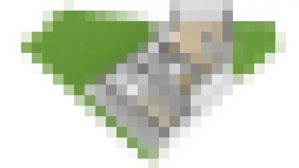 Graaf Arnoldlaan 9 Nieuwegein thumbnail 58