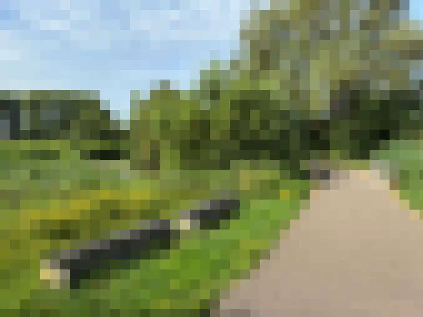 Graaf Arnulfstraat 17 Sint-Oedenrode thumbnail 39