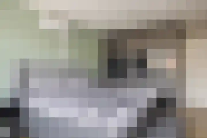 Graaf Arnulfstraat 30 Sint-Oedenrode thumbnail 16