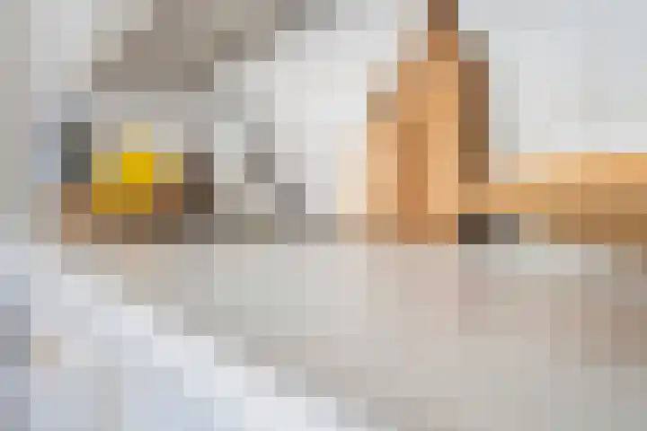 Graaf Balderikstraat 114 Rotterdam thumbnail 10