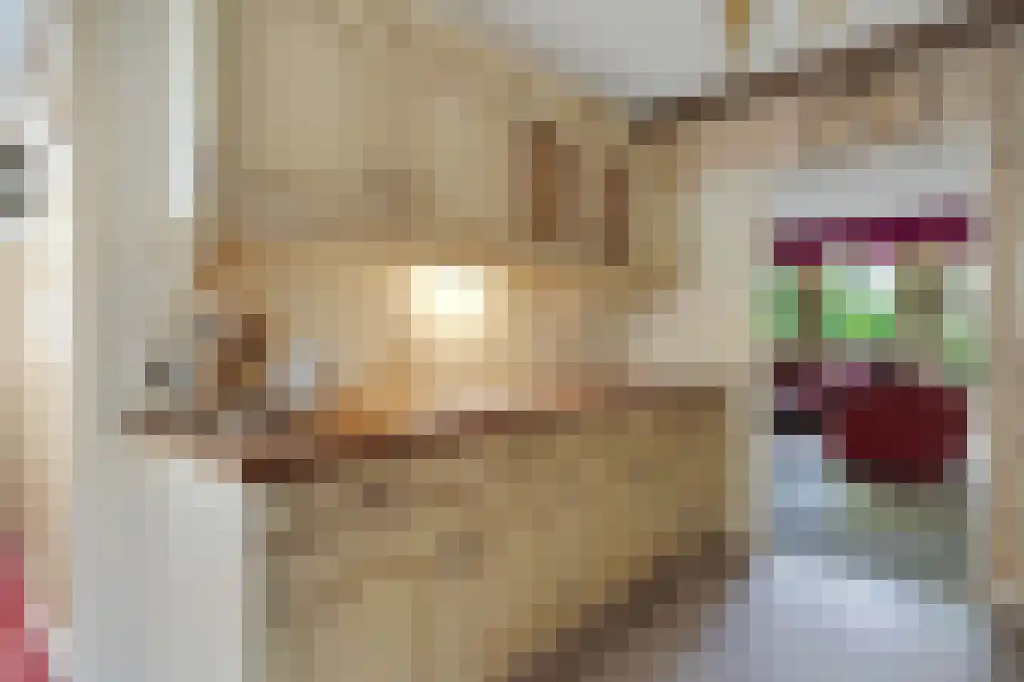 Graaf Balderikstraat 13 Rotterdam thumbnail 7