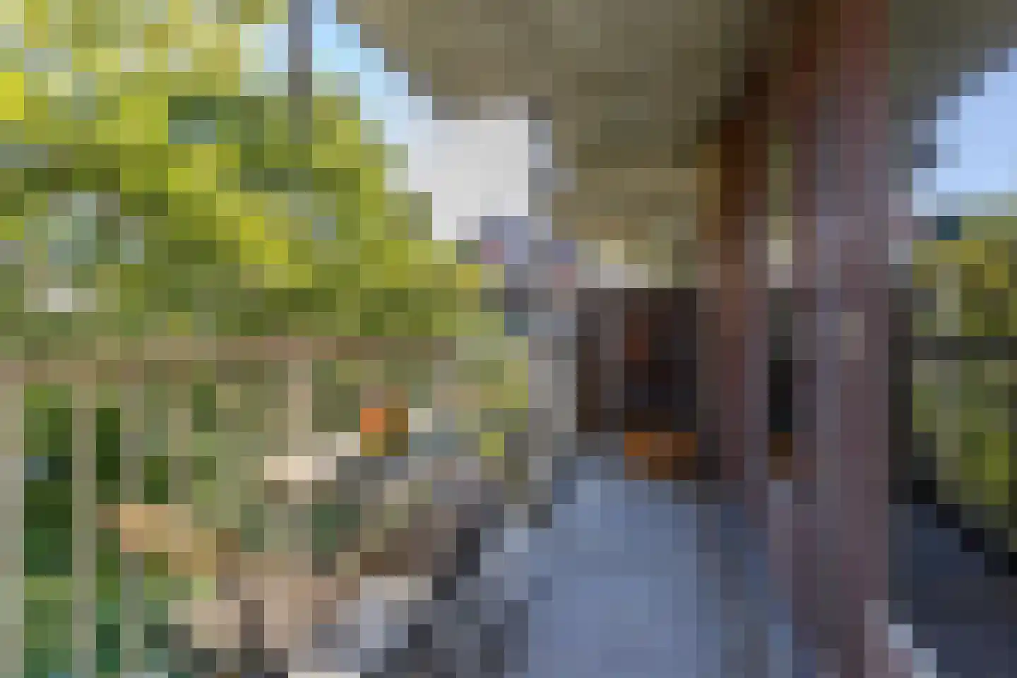 Graaf Balderikstraat 141 Rotterdam thumbnail 11