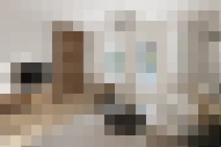 Graaf Balderikstraat 52 Rotterdam thumbnail 4