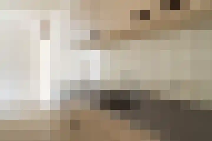 Graaf Balderikstraat 52 Rotterdam thumbnail 7
