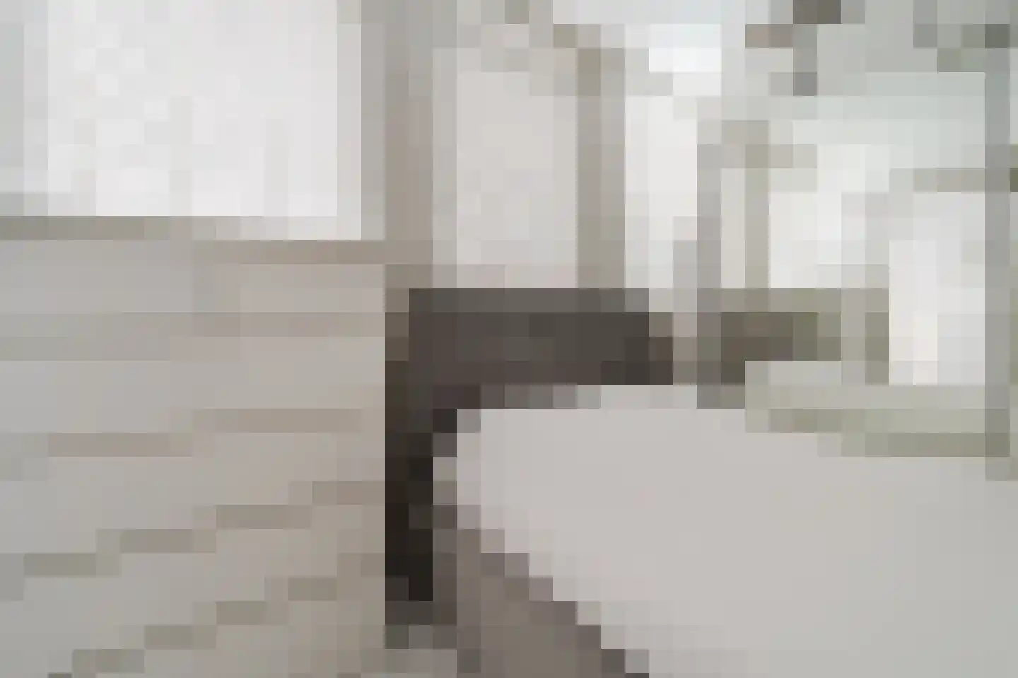 Graaf Balderikstraat 76 Rotterdam thumbnail 10