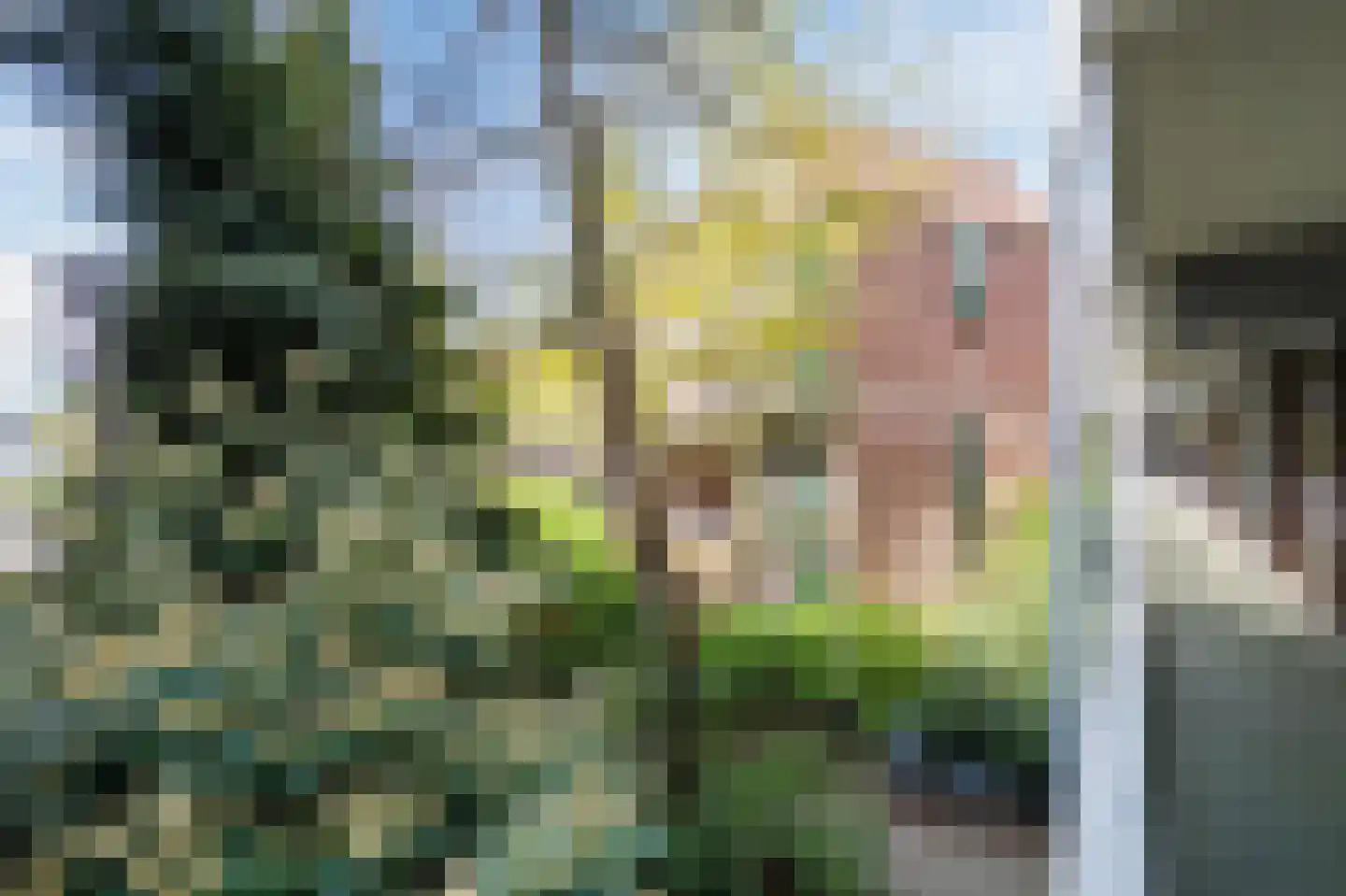 Graaf Balderikstraat 76 Rotterdam thumbnail 28