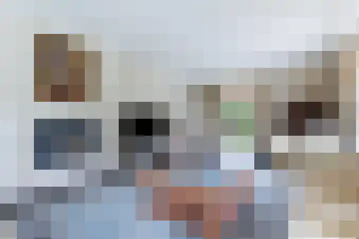 Graaf Bentincklaan 10 Rhoon thumbnail 15