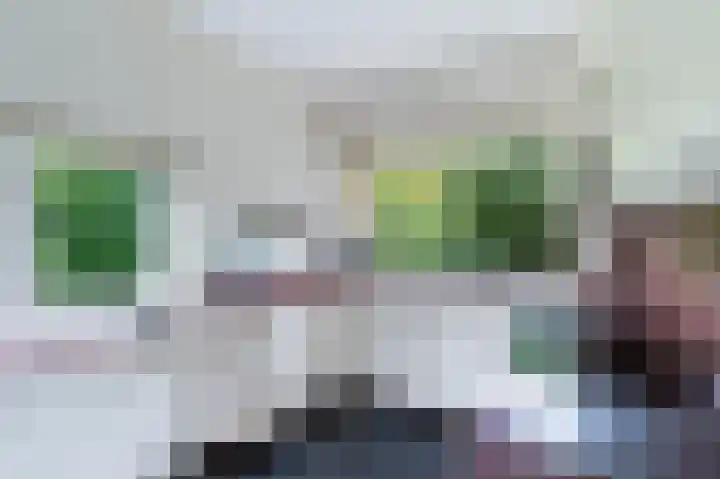 Graaf Bentincklaan 10 Rhoon thumbnail 16