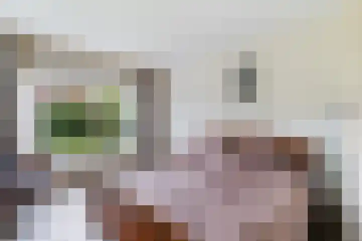 Graaf Bentincklaan 10 Rhoon thumbnail 20