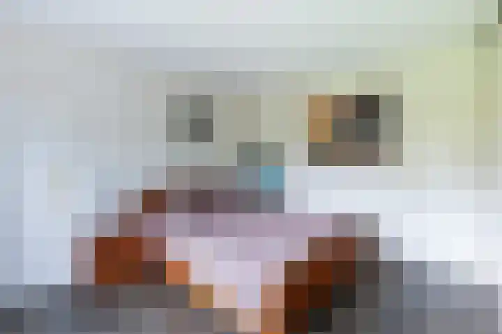Graaf Bentincklaan 10 Rhoon thumbnail 21