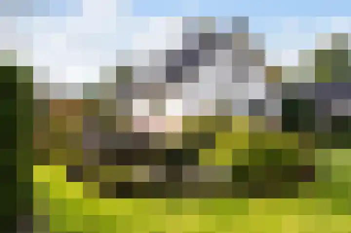 Graaf Bentincklaan 10 Rhoon foto 3