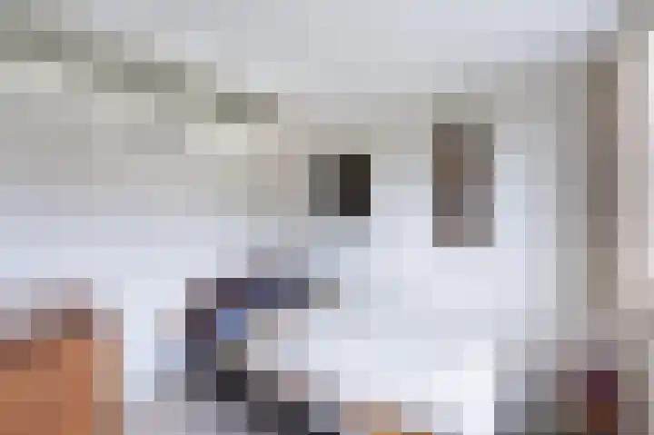 Graaf Bentincklaan 10 Rhoon thumbnail 31