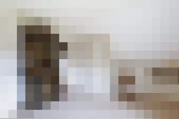 Graaf Bentincklaan 10 Rhoon thumbnail 36