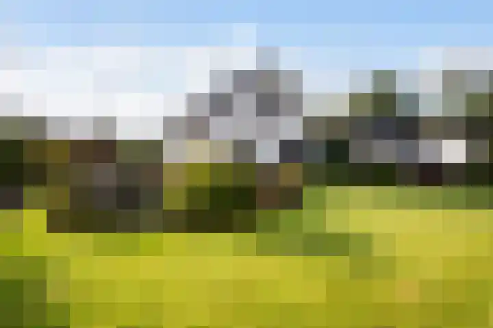Graaf Bentincklaan 10 Rhoon thumbnail 4