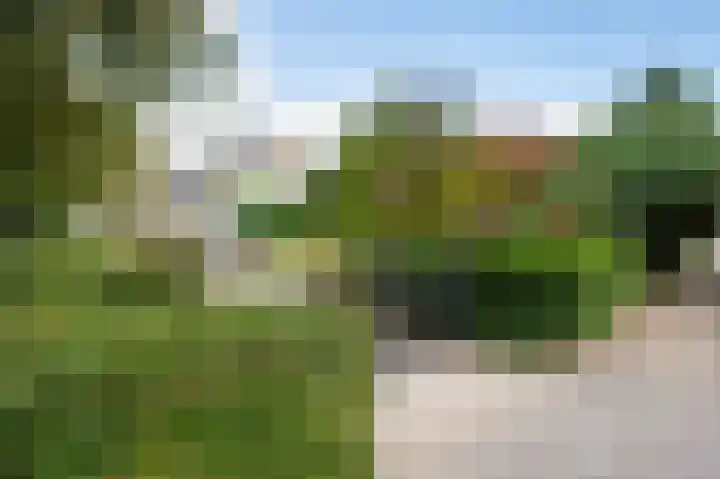 Graaf Bentincklaan 10 Rhoon thumbnail 42