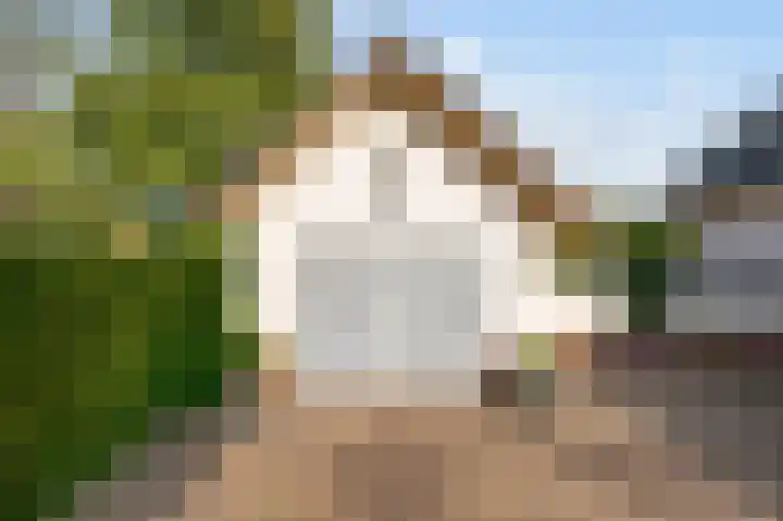 Graaf Bentincklaan 10 Rhoon thumbnail 45
