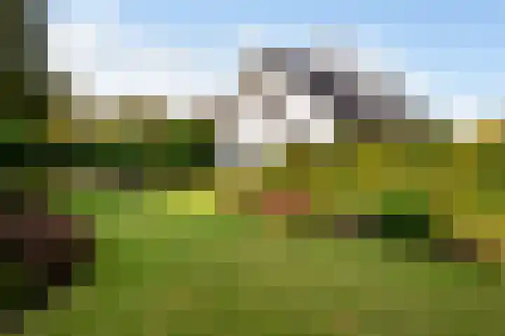 Graaf Bentincklaan 10 Rhoon thumbnail 50