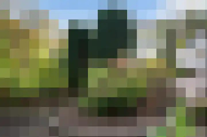 Graaf Bentincklaan 10 Rhoon thumbnail 51