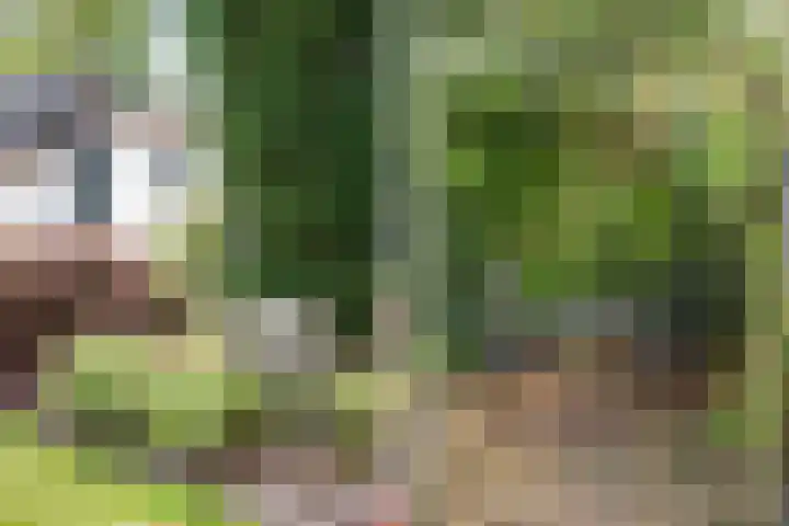 Graaf Bentincklaan 10 Rhoon thumbnail 54
