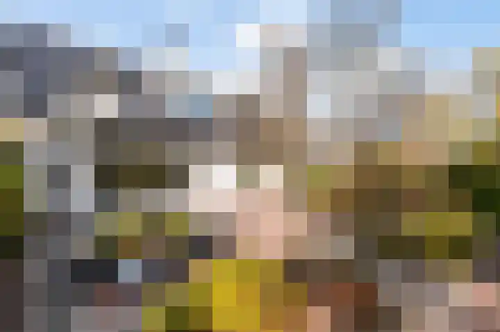 Graaf Bentincklaan 10 Rhoon thumbnail 55