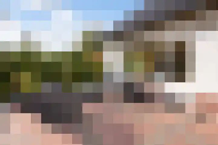 Graaf Bentincklaan 10 Rhoon thumbnail 56