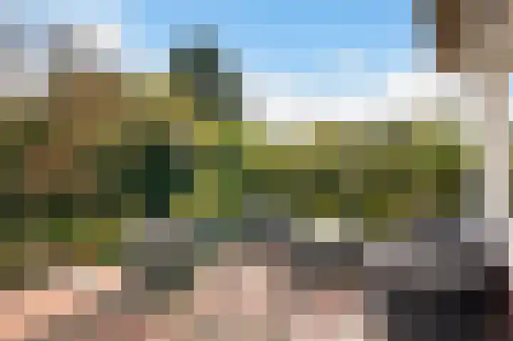 Graaf Bentincklaan 10 Rhoon thumbnail 57