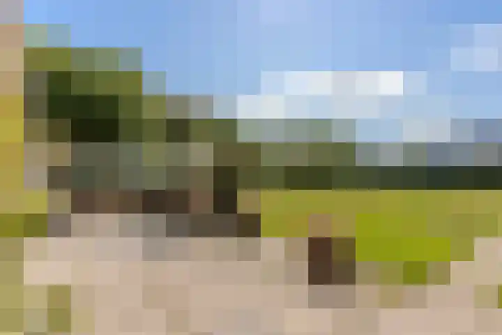 Graaf Bernadotteplein 15 Egmond aan Zee thumbnail 40