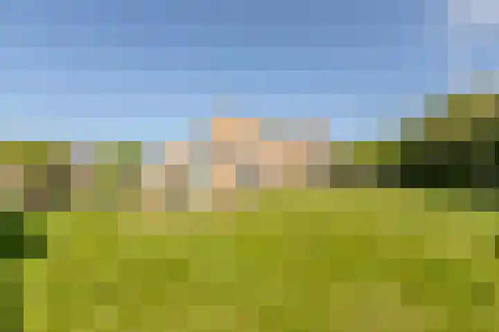 Graaf Bernadotteplein 15 Egmond aan Zee thumbnail 44