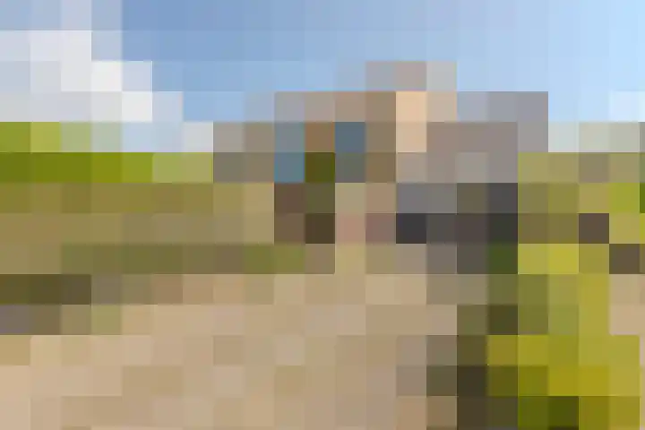 Graaf Bernadotteplein 15 Egmond aan Zee thumbnail 45
