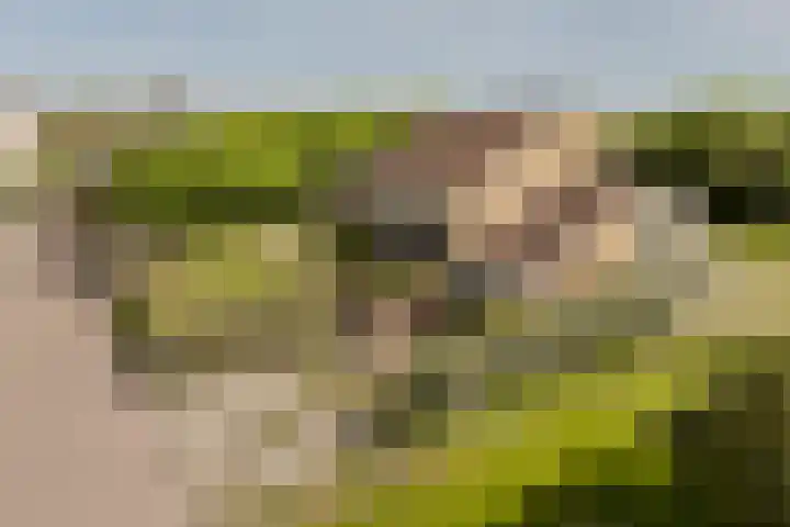 Graaf Bernadotteplein 15 Egmond aan Zee thumbnail 61