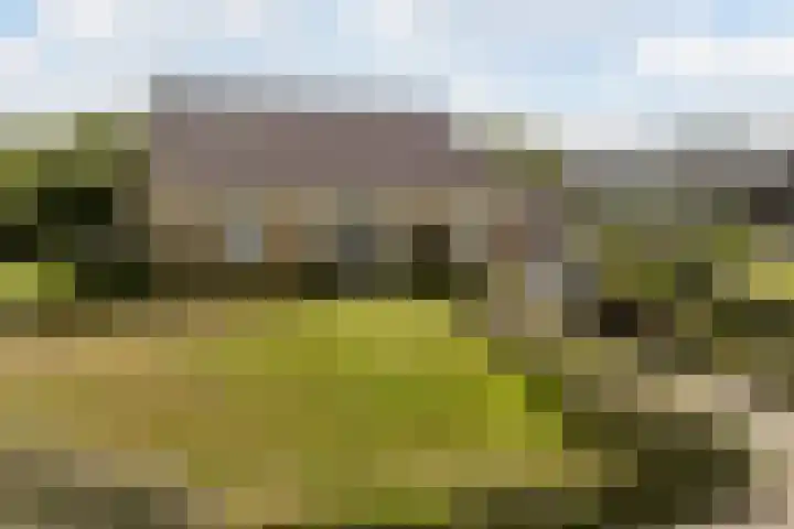 Graaf Bernadotteplein 15 Egmond aan Zee thumbnail 62