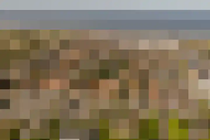 Graaf Bernadotteplein 15 Egmond aan Zee thumbnail 64