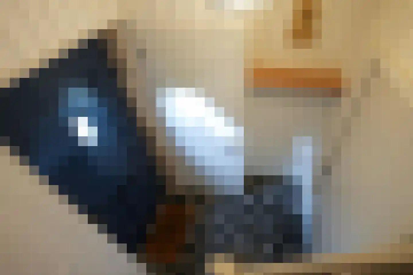 Graaf de Geloeslaan 17 Eijsden thumbnail 17