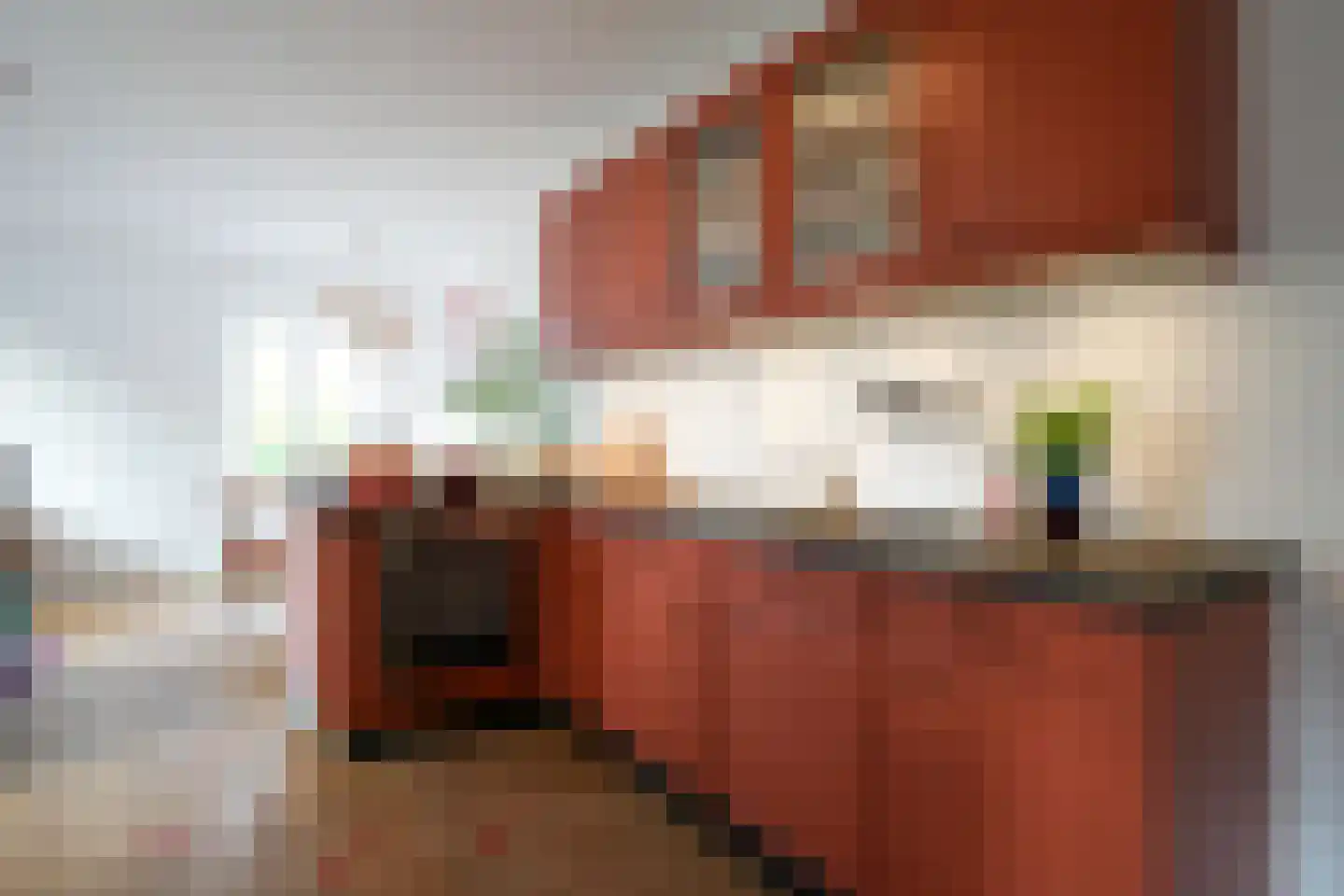 Graaf de Geloeslaan 17 Eijsden thumbnail 18