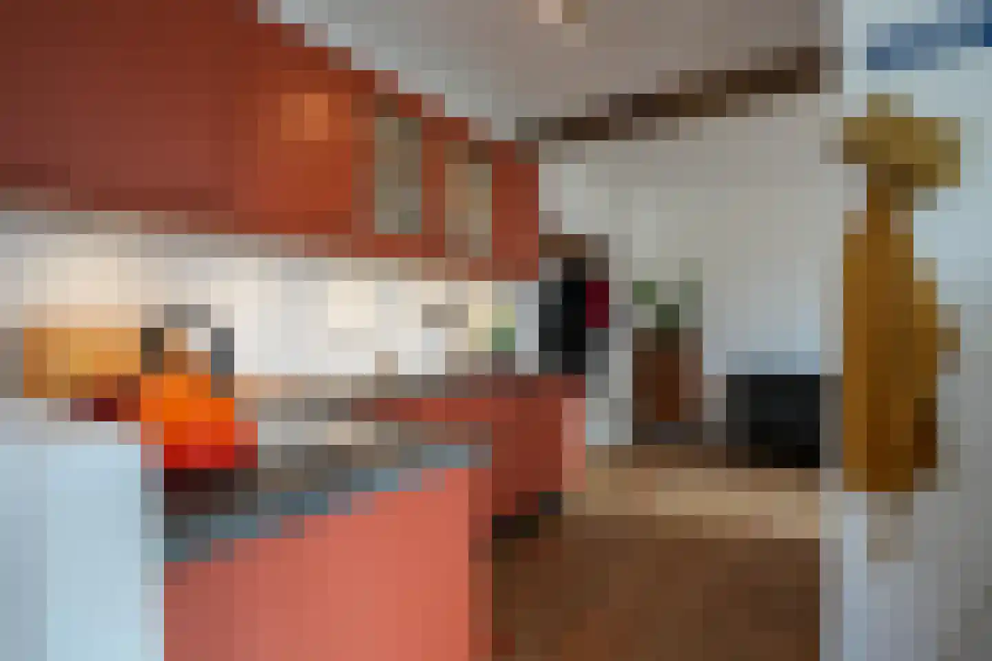 Graaf de Geloeslaan 17 Eijsden thumbnail 27