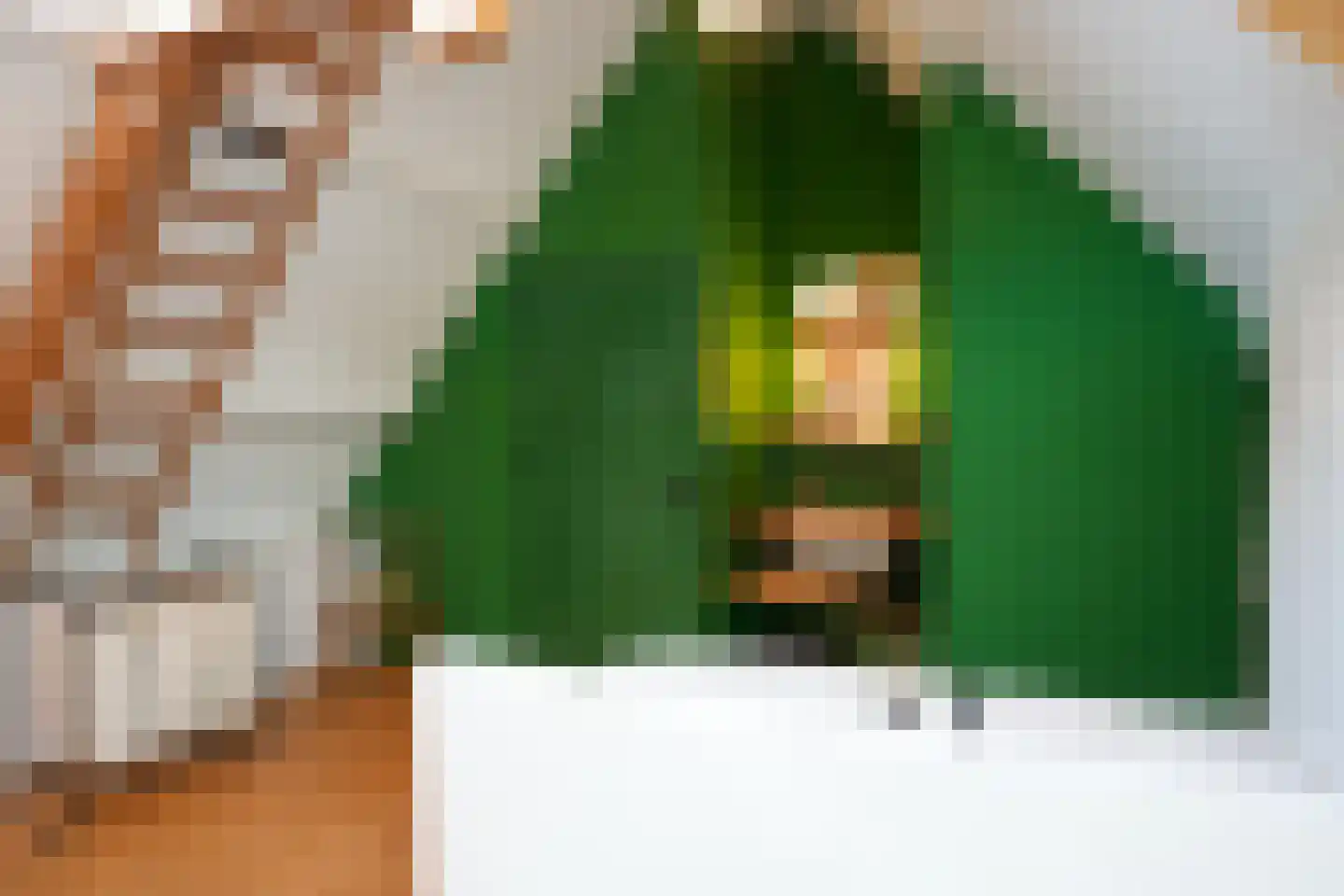 Graaf de Geloeslaan 17 Eijsden thumbnail 35