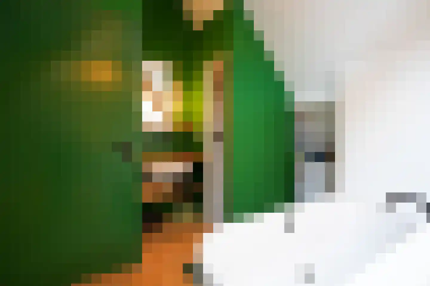 Graaf de Geloeslaan 17 Eijsden thumbnail 36