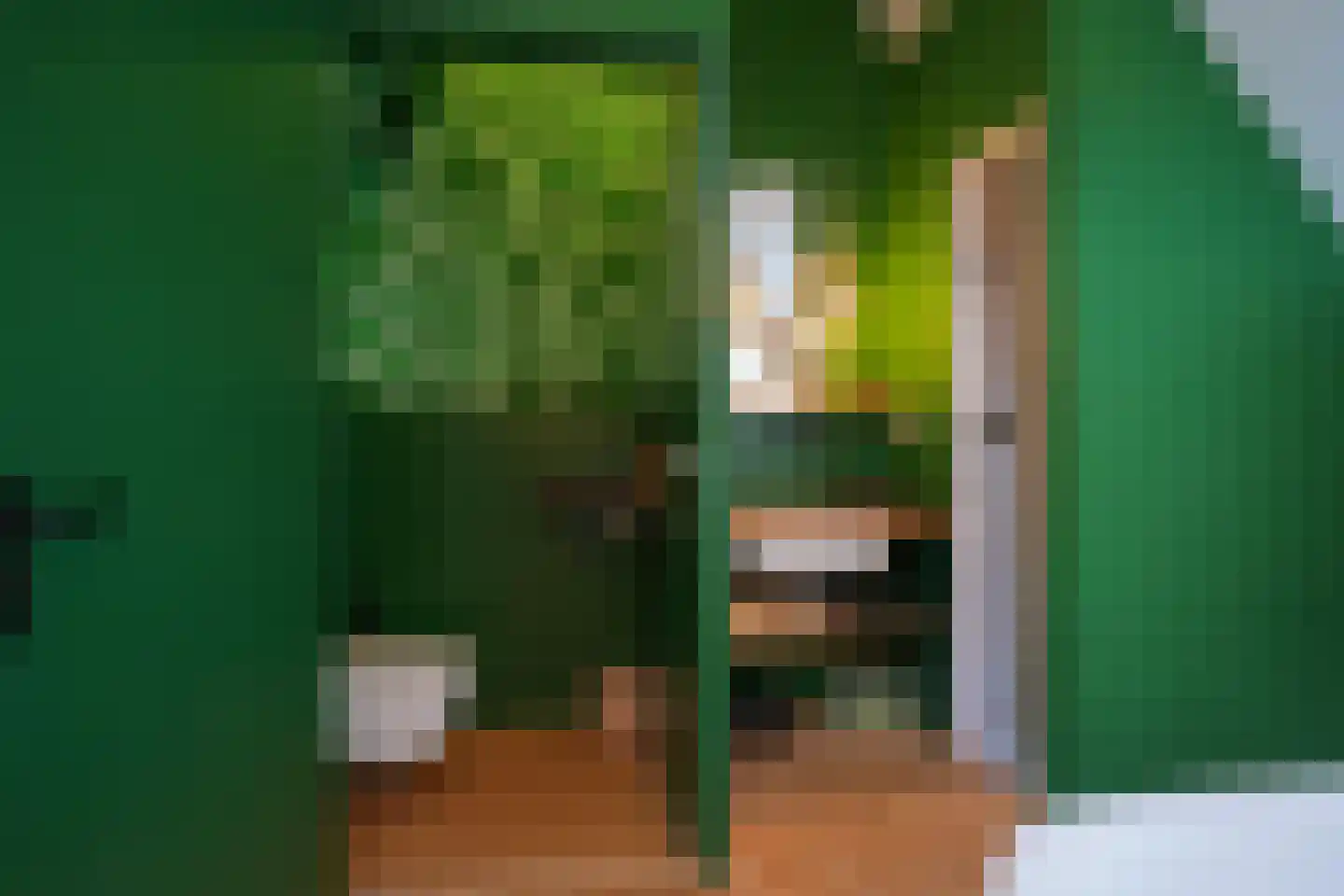 Graaf de Geloeslaan 17 Eijsden thumbnail 38