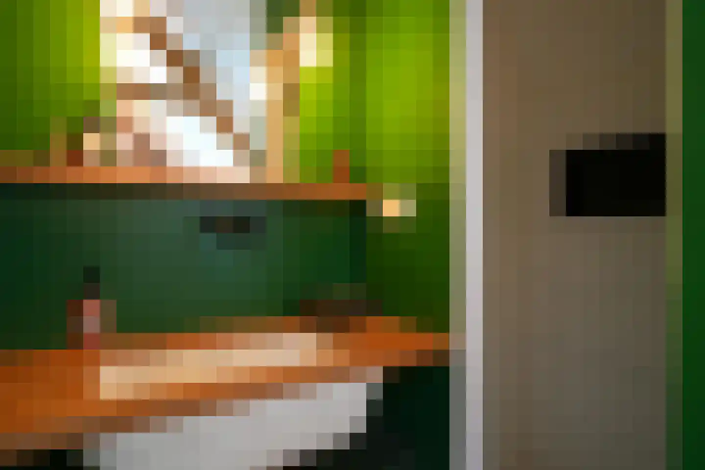 Graaf de Geloeslaan 17 Eijsden thumbnail 39