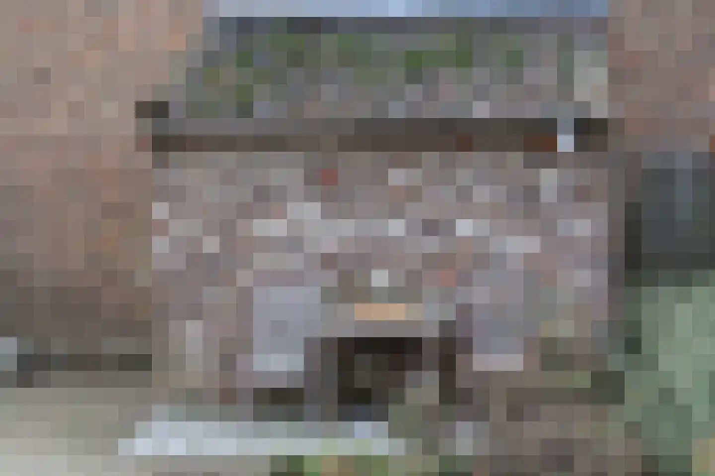 Graaf de Geloeslaan 17 Eijsden thumbnail 46