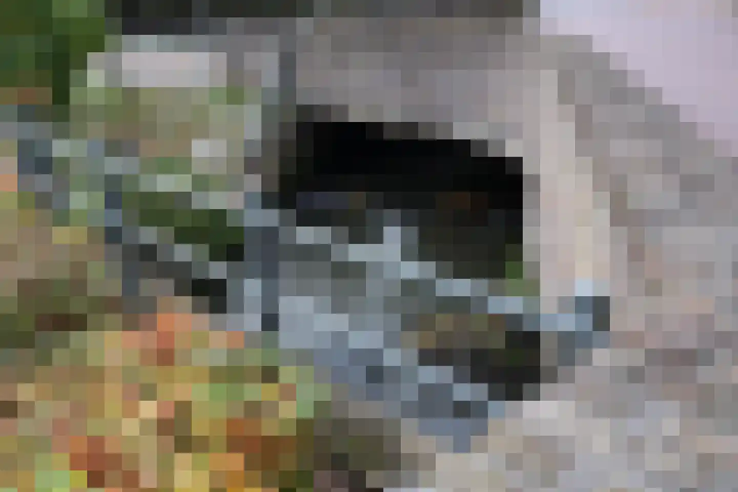 Graaf de Geloeslaan 17 Eijsden thumbnail 54