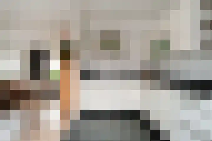 Graaf Diderikstraat 17 Zevenaar thumbnail 19