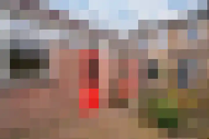 Graaf Diderikstraat 17 Zevenaar thumbnail 22