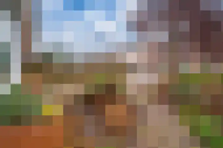Graaf Diderikstraat 17 Zevenaar thumbnail 8